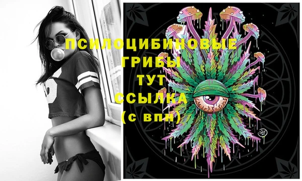 амфетамин Белокуриха