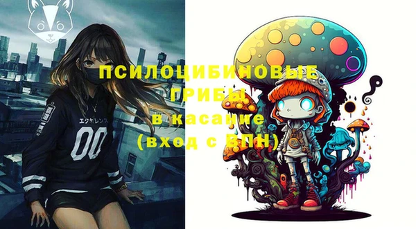 амфетамин Белокуриха